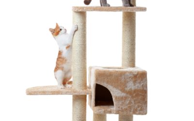 Five Cat Climbing Trees That Won’t Ruin Your Décor